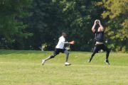OTFL Gallery Image
